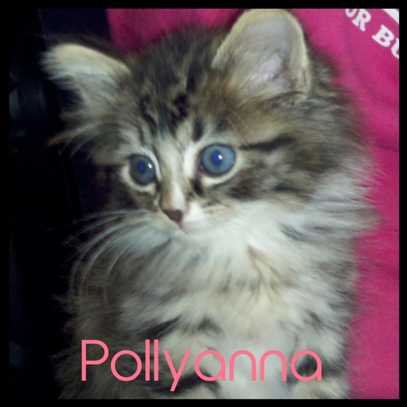 ♡ For the love of animals ♡ - Picture 4 of 8